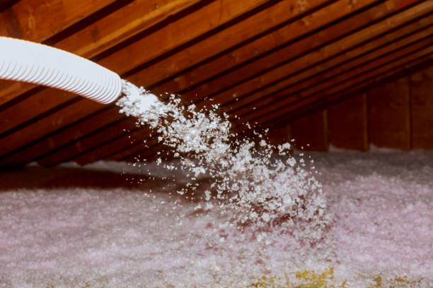 Best Insulation Inspection Services  in Hicksville, NY